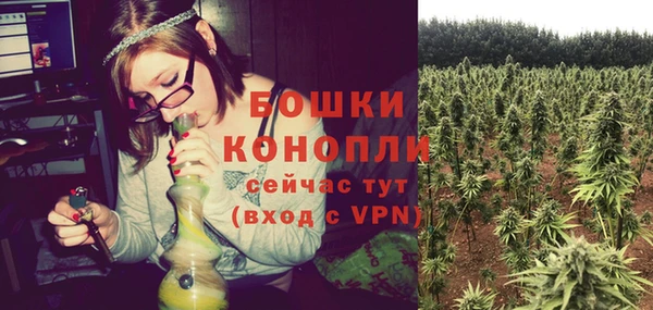 PSILOCYBIN Балабаново