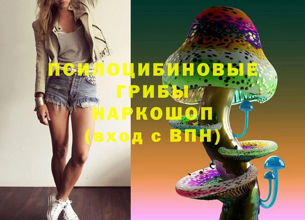 PSILOCYBIN Балабаново