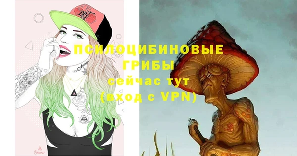 PSILOCYBIN Балабаново