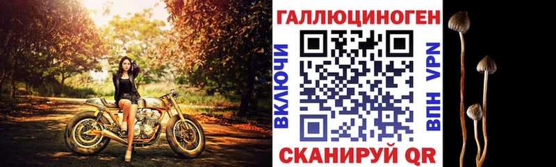 Псилоцибиновые грибы Psilocybe  Калининец 
